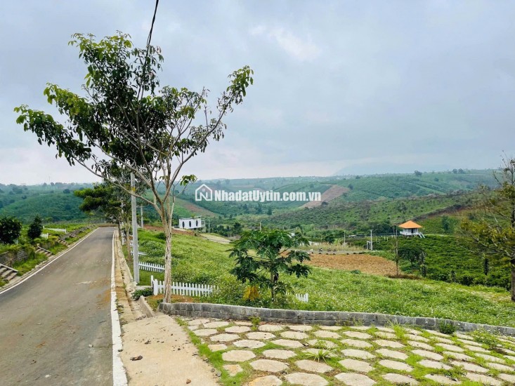 [HOT] Duy nhất còn 1 lô tại NaLi Chill - Homestay and BBQ giá bán chỉ 850TR